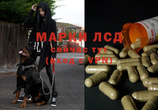 скорость mdpv Вяземский