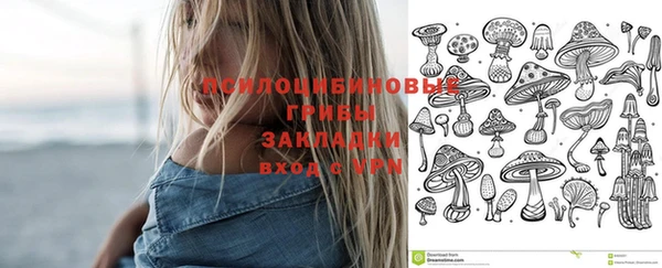 сатива Вязьма