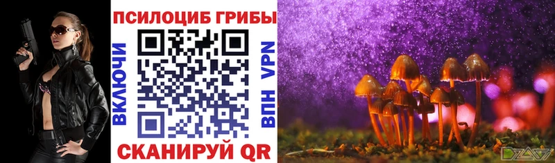 mega tor Кедровый Псилоцибиновые грибы Cubensis